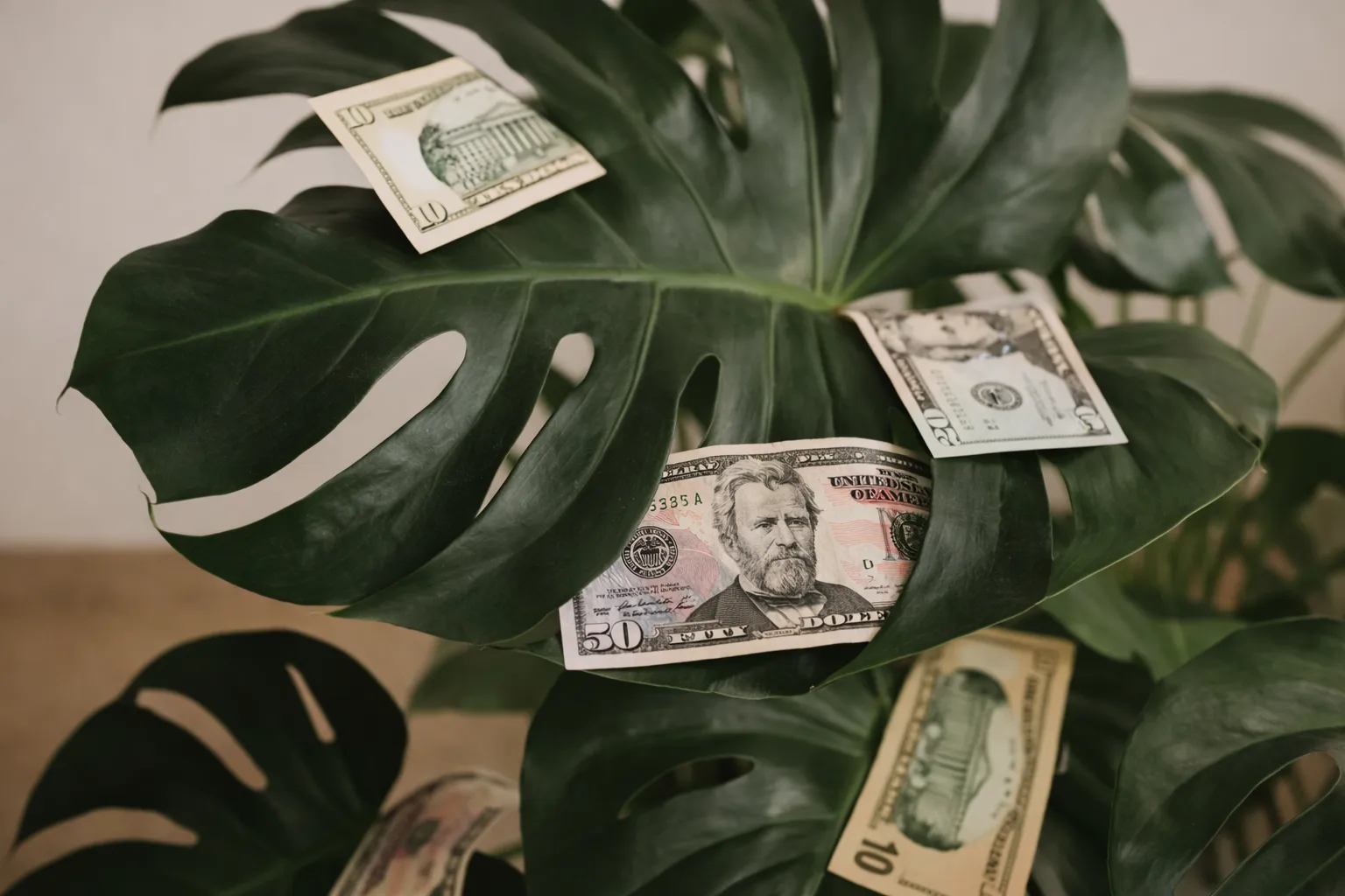 Power of time and compounding in investing showing how small amounts grow into big money